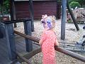 Foto 0116